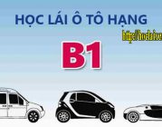 Học lái xe ô tô số tự động B1 tại Nghệ An       