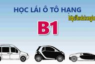 Học lái xe ô tô số tự động B1 tại Nghệ An       